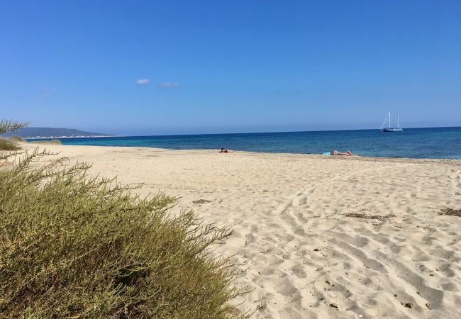 Bungalow en Playa de Migjorn - Can Miguel Martí Bungalow - 1 dormitorio Bungalow en Playa de Migjorn - Can Miguel Martí Bungalow - 1 dormitorio