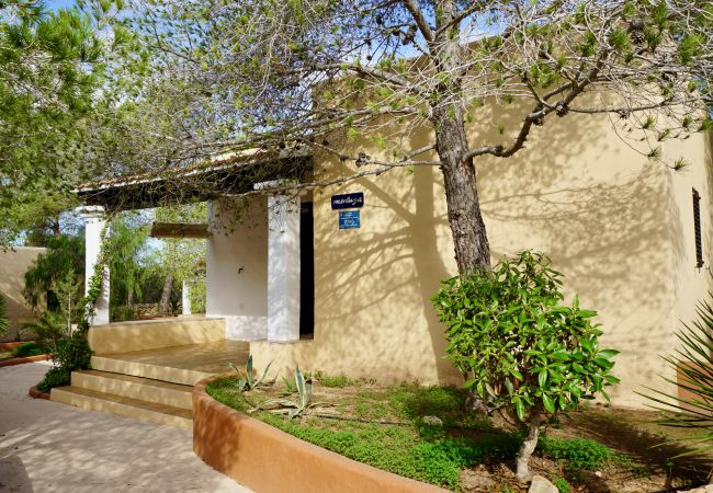 Bungalow en Playa de Migjorn - Can Miguel Martí Bungalow - 1 dormitorio Bungalow en Playa de Migjorn - Can Miguel Martí Bungalow - 1 dormitorio