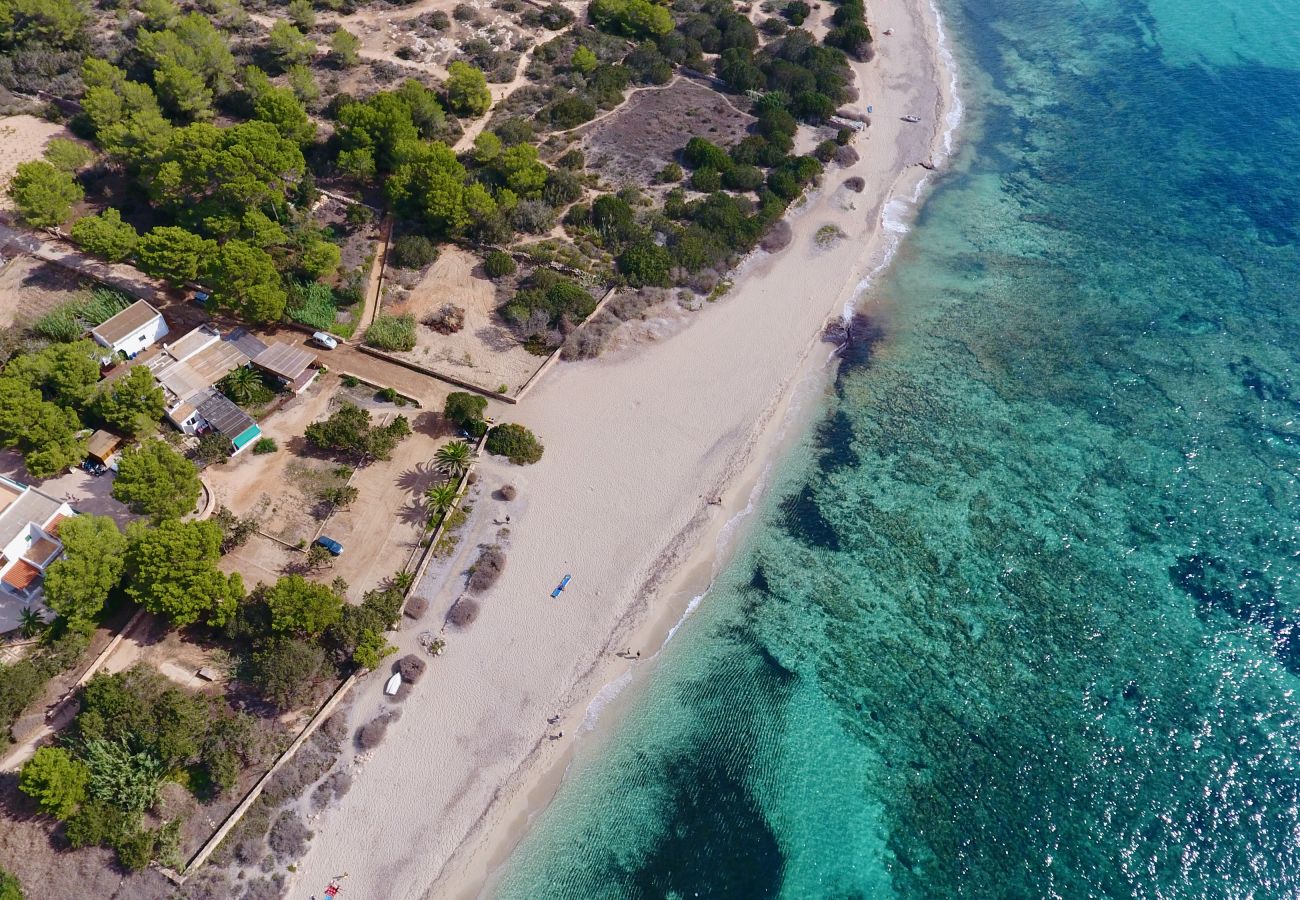 Bungalow en Playa de Migjorn - Can Miguel Martí Bungalow - 1 dormitorio