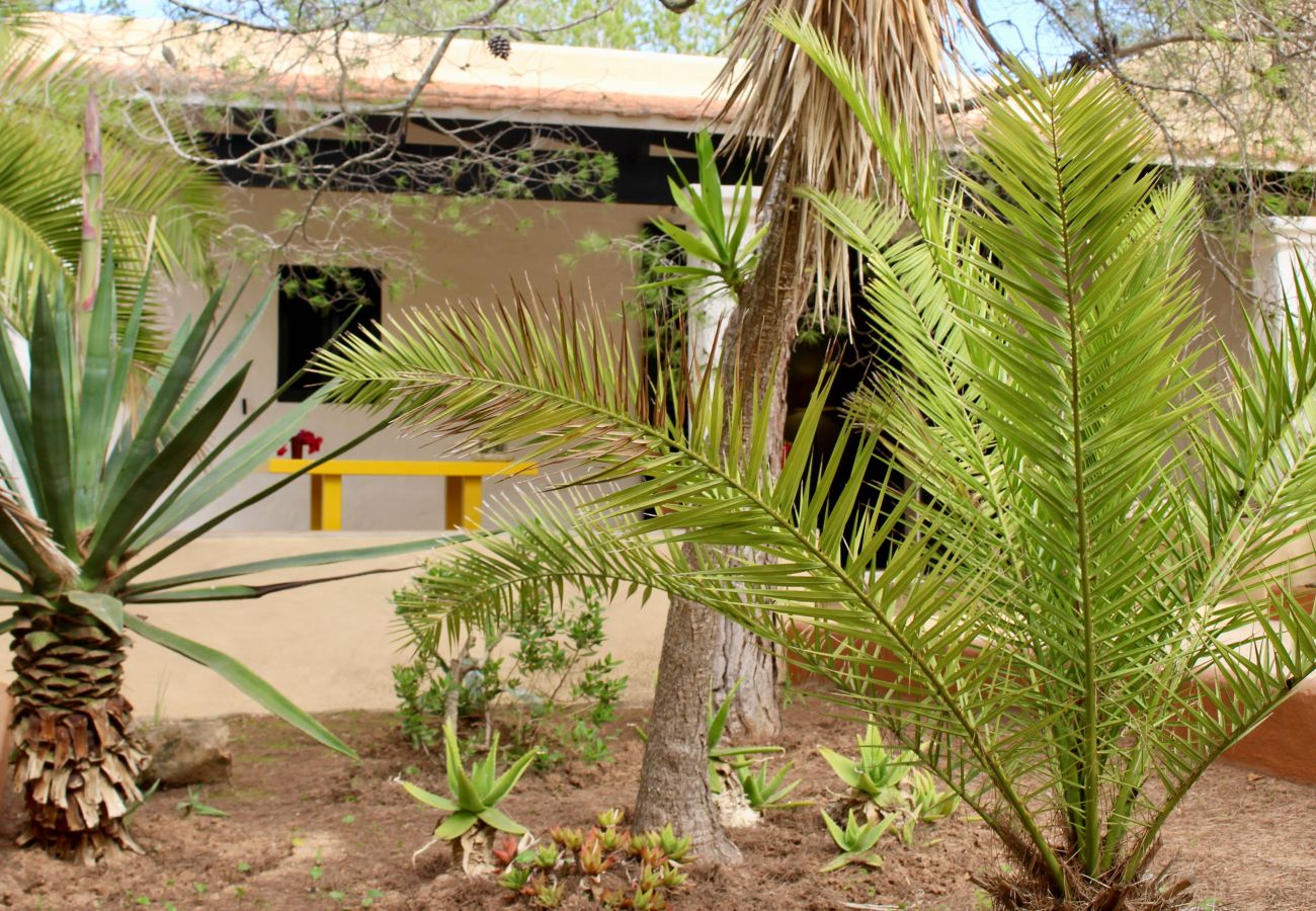 Bungalow en Playa de Migjorn - Can Miguel Marti Bungalow - 2 dormitorios