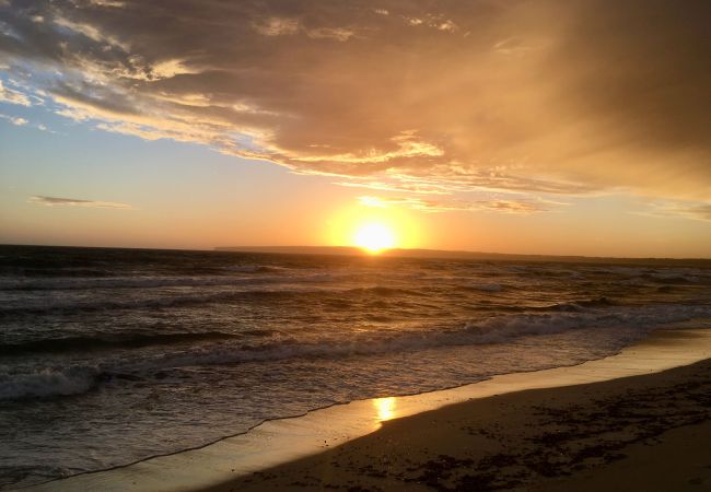 Bungalow en Playa de Migjorn - Voga Mari 'Premium'  - 1 dormitorio Bungalow en Playa de Migjorn - Voga Mari 'Premium'  - 1 dormitorio