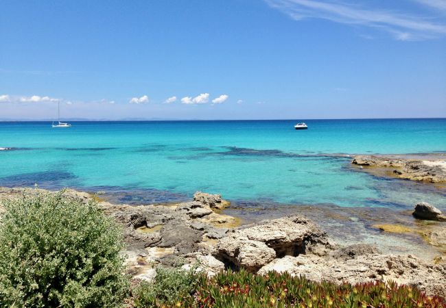 Villa en Es Calo - Campanitx Villa - 1 Dormitorio Villa en Es Calo - Campanitx Villa - 1 Dormitorio