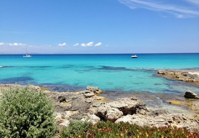 Apartamento en Es Calo - Campanitx Apt, Formentera - 2 dormitorios, 1ª planta Apartamento en Es Calo - Campanitx Apt, Formentera - 2 dormitorios, 1ª planta