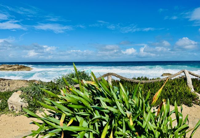Apartamento en Es Calo - Campanitx Apt, Formentera - 2 dormitorios, planta baja Apartamento en Es Calo - Campanitx Apt, Formentera - 2 dormitorios, planta baja