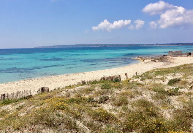 Bungalow en Playa de Migjorn - Casa Can Pep, Formentera - Bungalow de 1 dormitorio Bungalow en Playa de Migjorn - Casa Can Pep, Formentera - Bungalow de 1 dormitorio