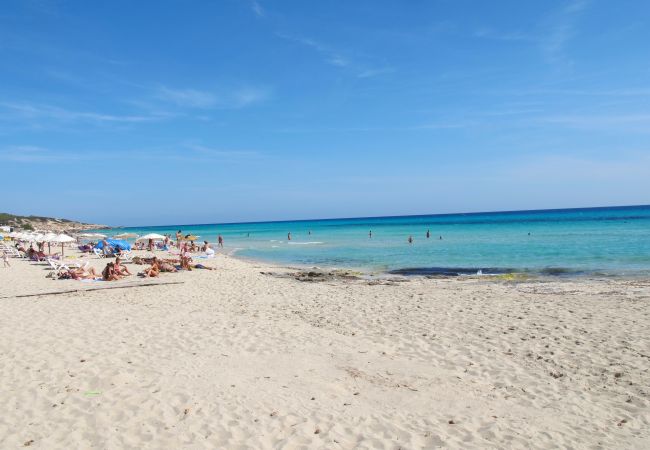 Villa en Playa de Migjorn - Casa Sa Playa Beach House, Migjorn - Formentera Villa en Playa de Migjorn - Casa Sa Playa Beach House, Migjorn - Formentera