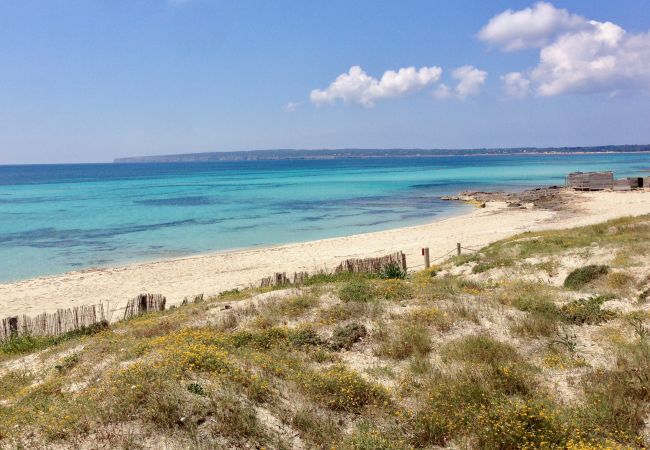 Villa en Playa de Migjorn - Casa Sa Playa Beach House, Migjorn - Formentera