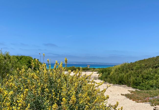 Villa en Playa de Migjorn - Casa Stefi Beach House, Migjorn - Formentera